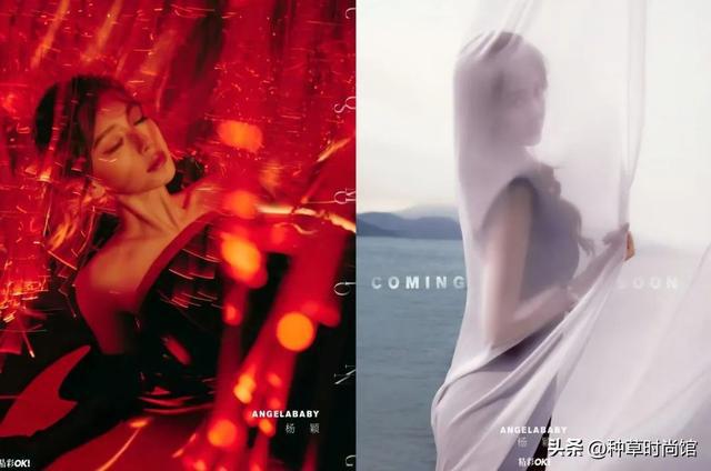 蓝狮平台注册：被黄晓明捧红又跌落，如今凭努力重回舞台中央