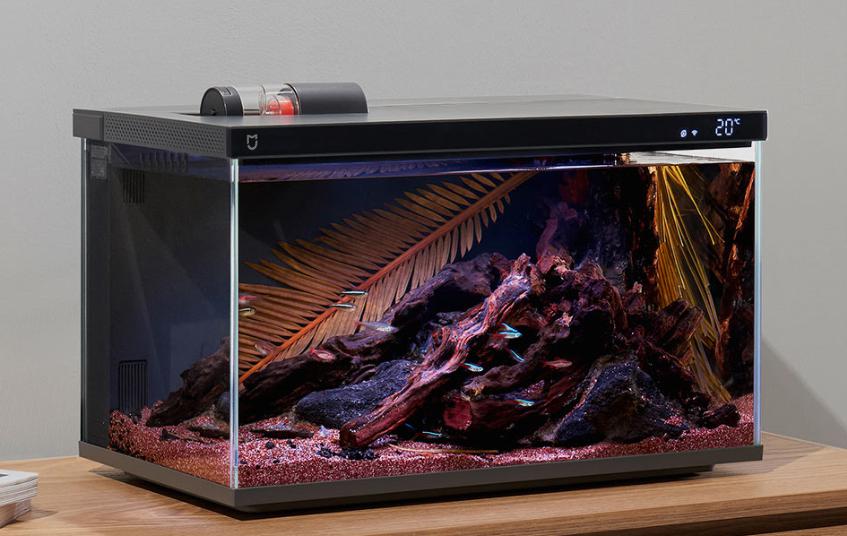 蓝狮平台官方：小米智能鱼缸众筹成功，智能养宠或成下一个风口